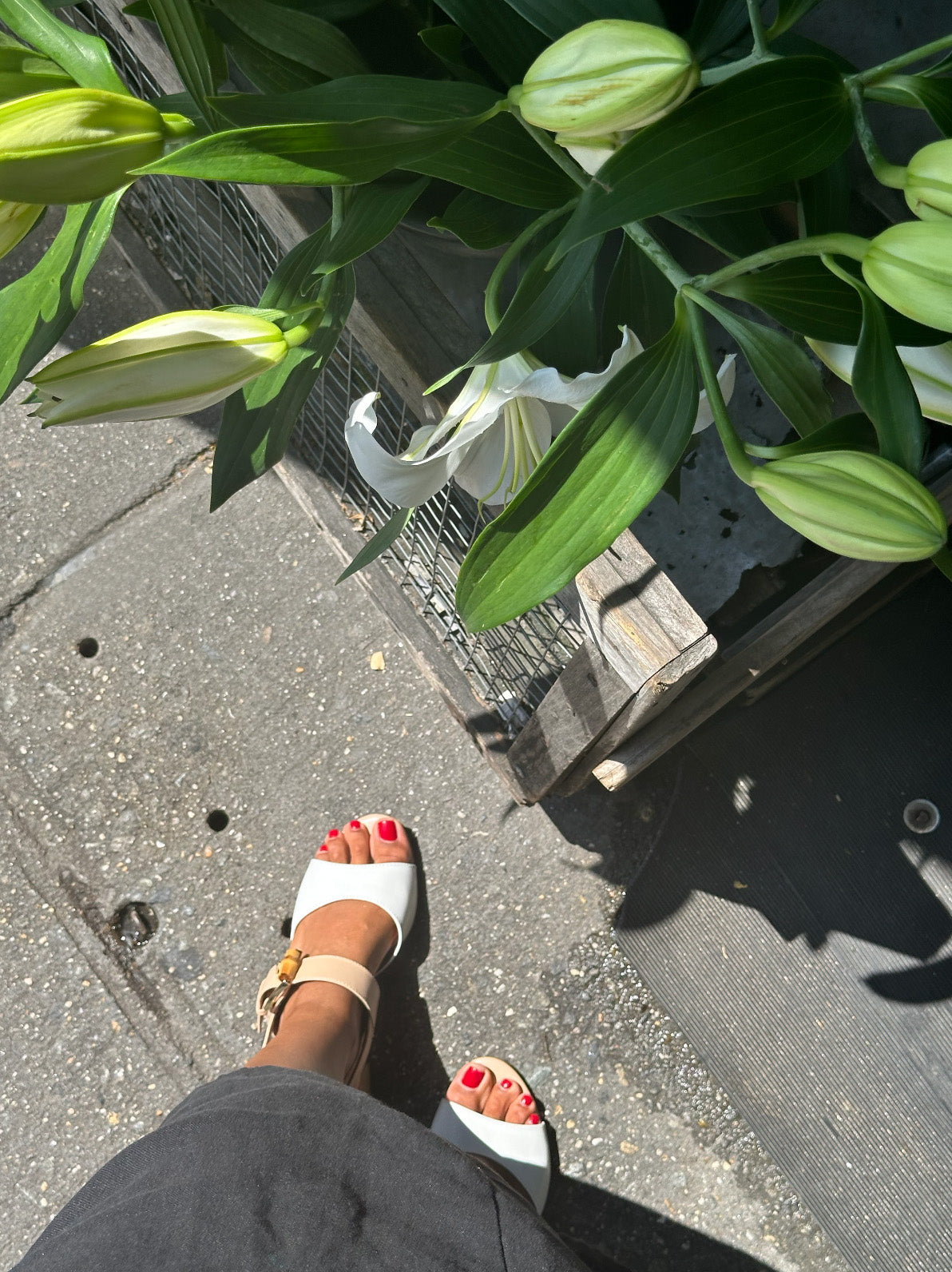 Zeta Side Zip Sneaker – Melluso USA